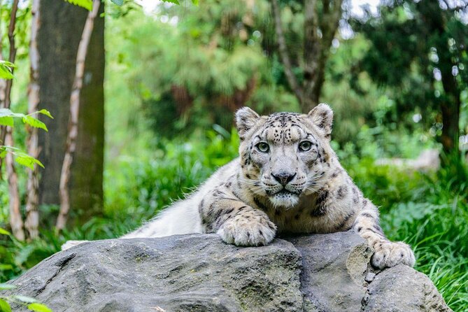 Central Park Zoo Admission Ticket with 4D Theater Access - The Tropic Zone Brings Warmth and Movement