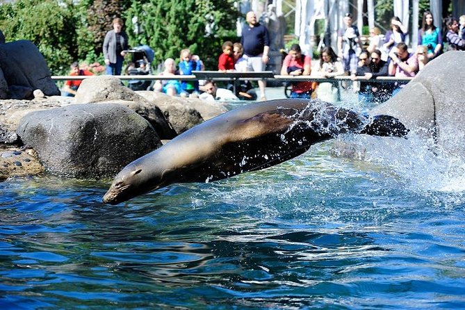 Central Park Zoo Admission Ticket with 4D Theater Access - Tisch Children’s Zoo Adds Hands-On Appeal