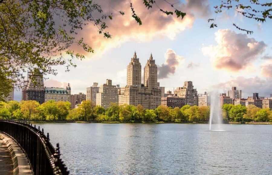 Christmas in Central Park: Horse Carriage Holiday Tour - The guide shapes the experience