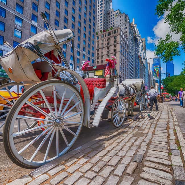 Christmas in Central Park: Horse Carriage Holiday Tour - What the Christmas carriage adds