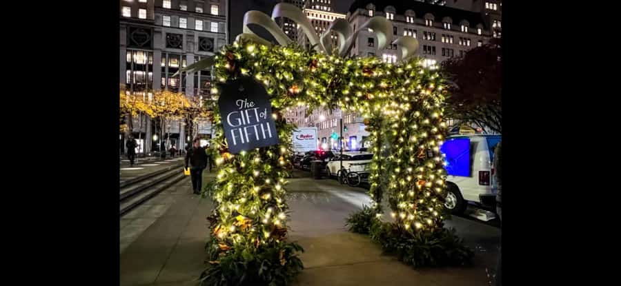 Christmas in New York: Skip-the-Line Holiday Lights Tour - Starting at Central Park South