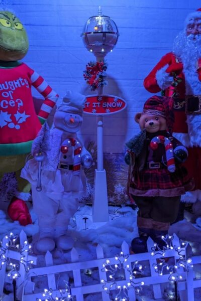 Christmas Light Night tour