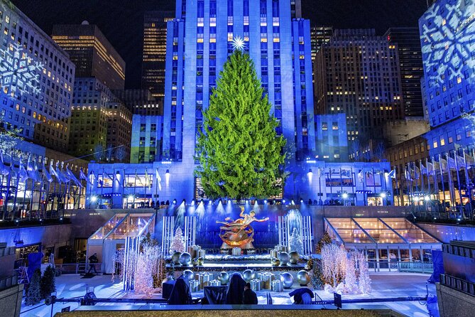 Christmas Light Private Carriage Ride New York City - A Christmas carriage ride through Midtown