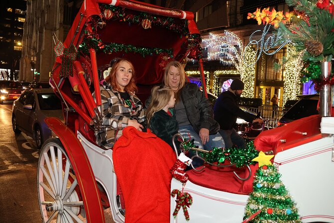 Christmas Light Private Carriage Ride New York City - Saks Fifth Avenue and the light show