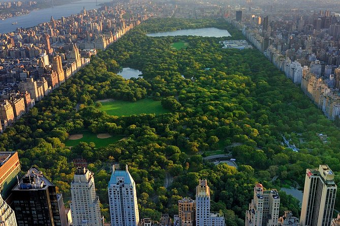 Deluxe Central Park Pedicab Tour - Comfort, Mobility, and Family Use