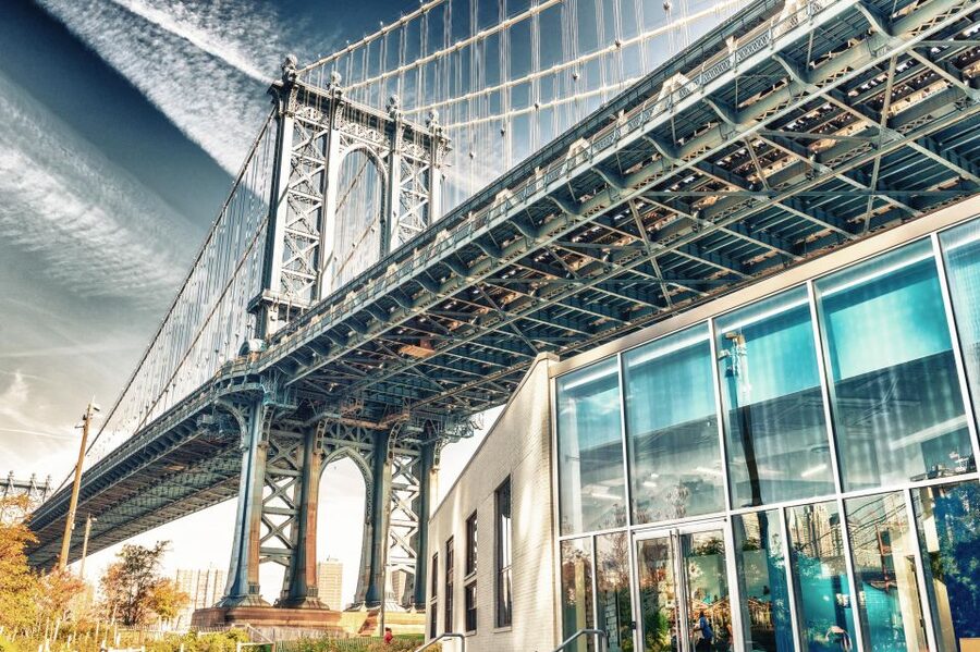 Easy Access Statue of Liberty & Brooklyn Bridge Discovery - Who will get the most from this tour