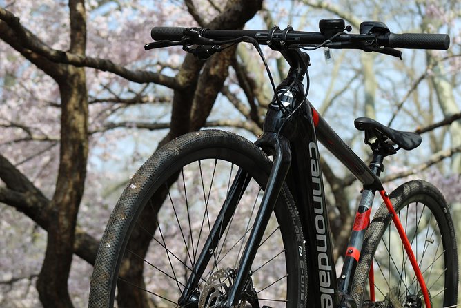 Electric Bike Tour of Manhattan and the Waterfront Greenway - How much cycling do you really do?
