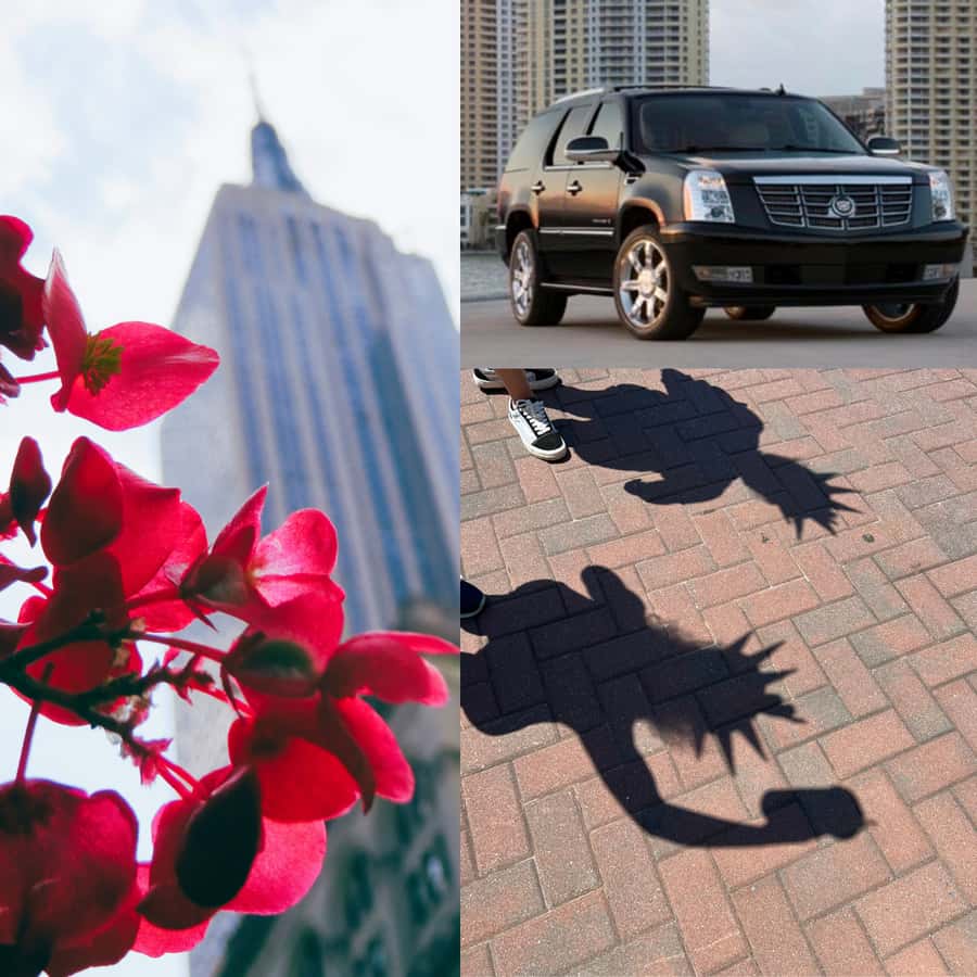Everything New York City Private SUV Tour - Price and group value at $880