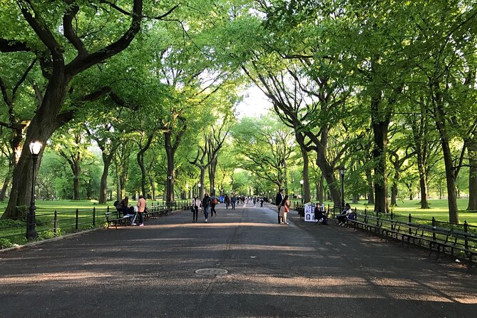 First Class Central Park Tour – Iconic Views & VIP Photo Moments - The Mall and Bethesda Terrace