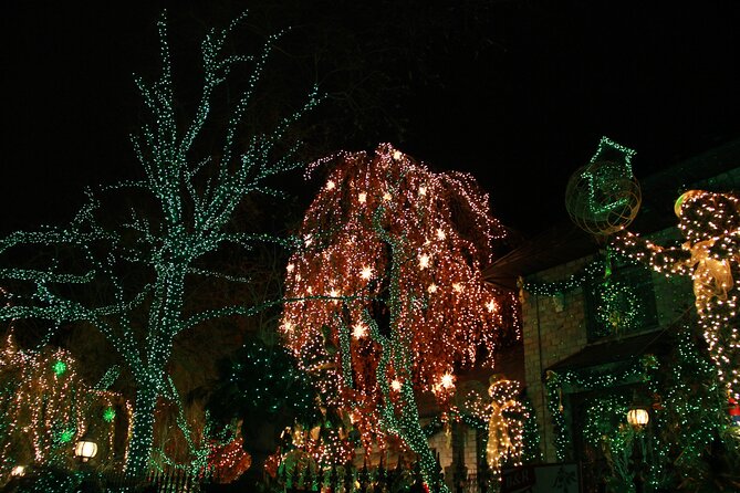 French Christmas Tour in Brooklyn - Who should book this Christmas walk?