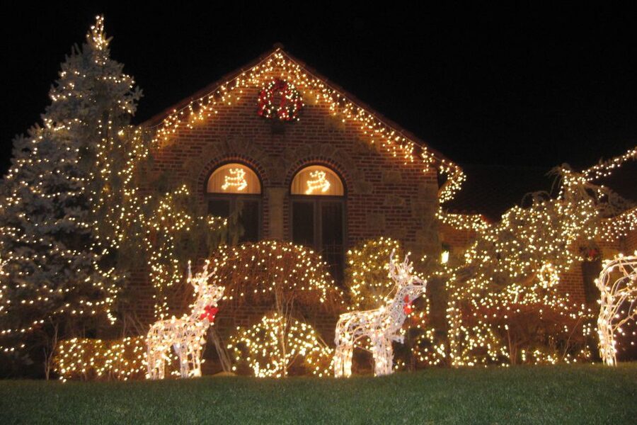 From Manhattan: 4-Hour Brooklyn Christmas Magic Tour - Key points to know before you book