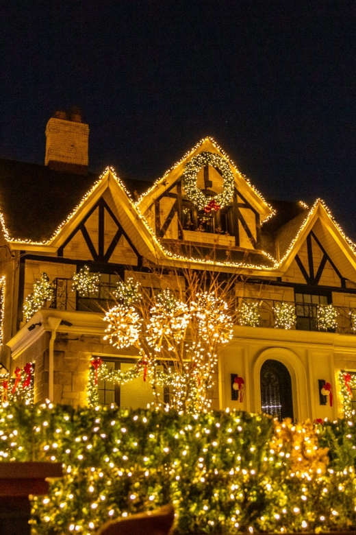 From Manhattan: 4-Hour Dyker Heights Holiday Lights Bus Tour - Is $63 good value?