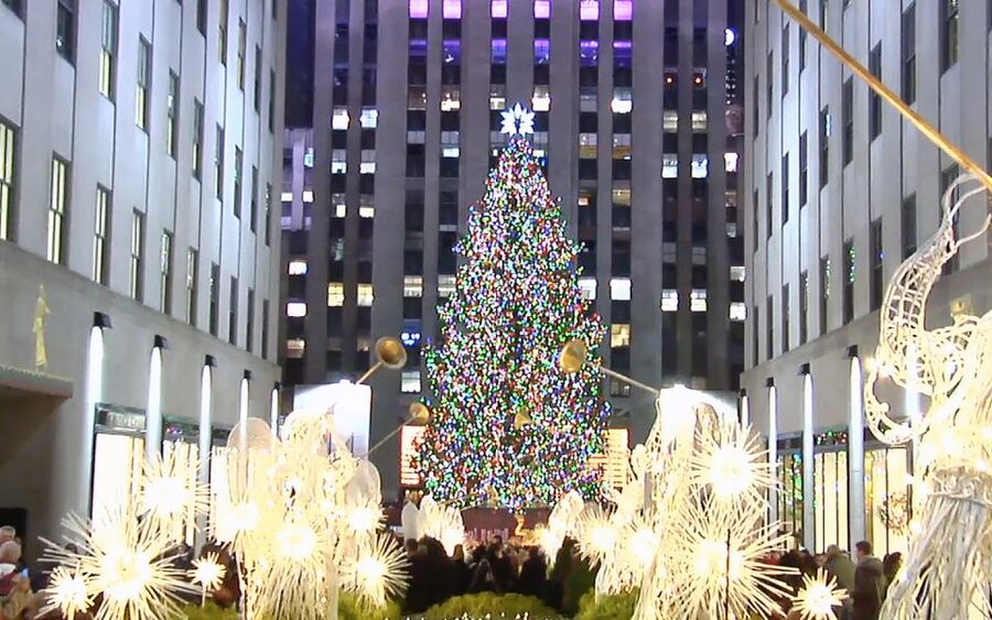 From Manhattan: Dyker Heights Lights & Skyline Tour - Who will enjoy this tour most?