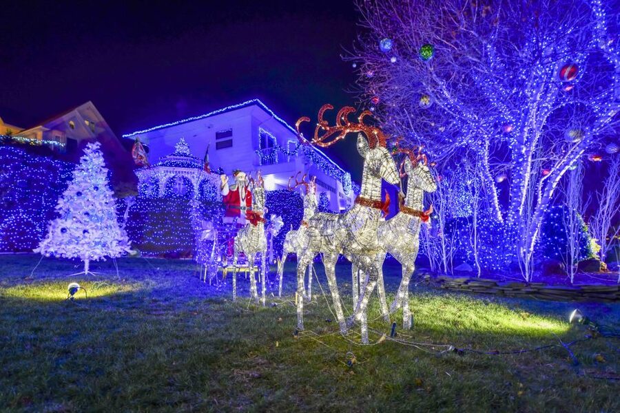 From Manhattan: Dyker Heights Lights & Skyline Tour - The Brooklyn Bridge Park photo stop