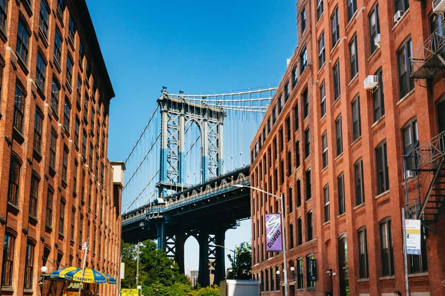 From Manhattan: Full-Day NYC Boroughs and Coney Island Tour - What this New York boroughs tour actually gives you