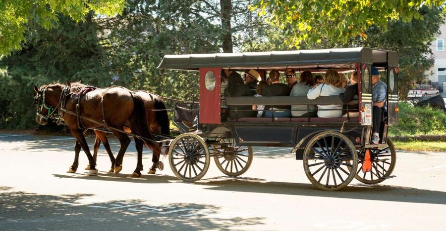 From NYC: Day Trip to Philadelphia and Amish Country - Philadelphia’s historic center in a compact visit