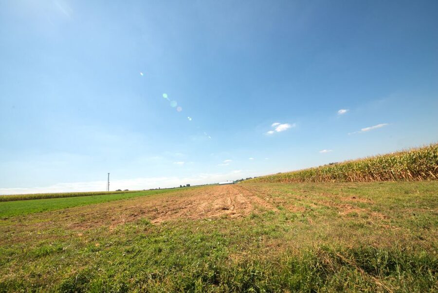From NYC: Day Trip to Philadelphia and Amish Country - Guides make a major difference