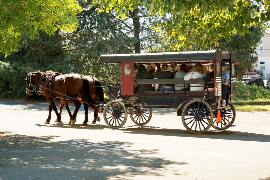 From NYC: Day Trip to Philadelphia and Amish Country - Is $149 good value?