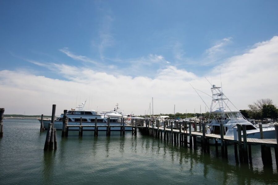 From NYC: Hamptons, Sag Harbor, and Outlet Shopping Day Trip - Key points to know before booking