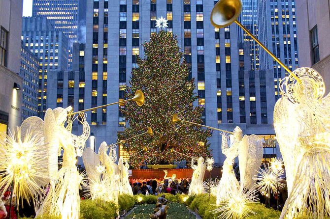 Full-Day Sightseeing Tour in New York City - Who will get the most from this tour?