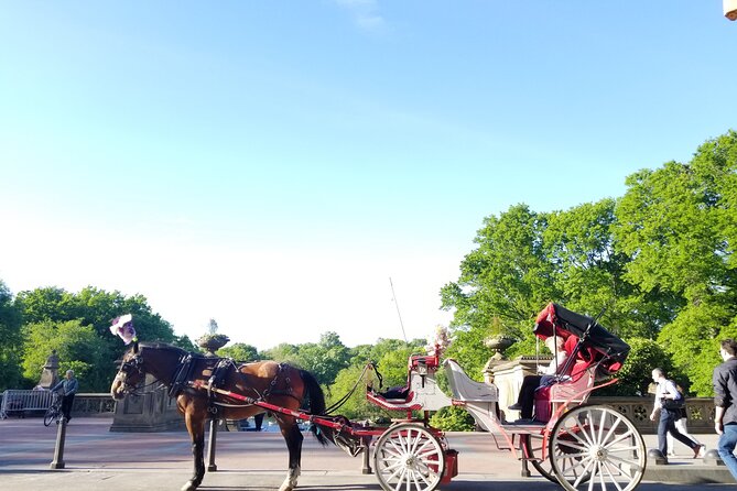 Full loop Private Horse Carriage Ride in Central Park 45 Minutes - Key points to know before booking