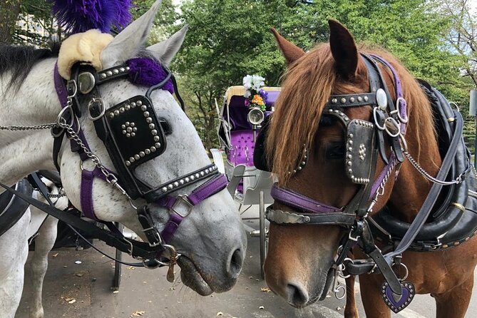 Full loop Private Horse Carriage Ride in Central Park 45 Minutes - Why a carriage is a smart way to see Central Park