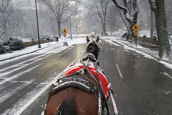 Full loop Private Horse Carriage Ride in Central Park 45 Minutes - Conservatory Water and the park’s quieter side