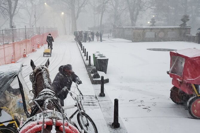 Full loop Private Horse Carriage Ride in Central Park 45 Minutes - Bethesda Terrace and Fountain are the visual center