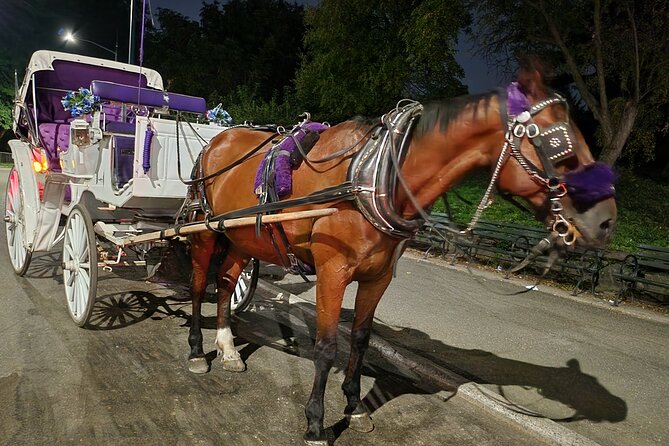 Full loop Private Horse Carriage Ride in Central Park 45 Minutes - Cherry Hill and the Lake photo opportunity