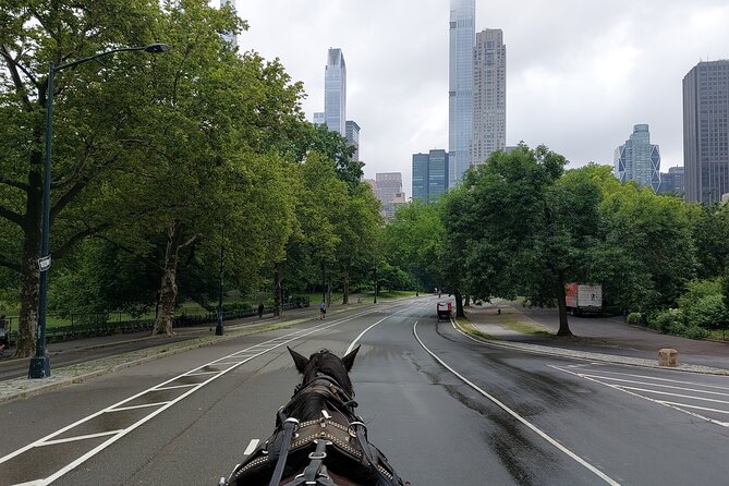 Full loop Private Horse Carriage Ride in Central Park 45 Minutes - Strawberry Fields and the Dakota