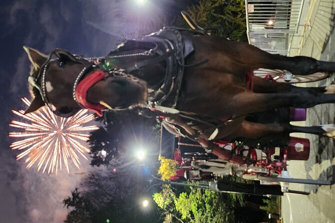 Full loop Private Horse Carriage Ride in Central Park 45 Minutes - The southern park sights come first