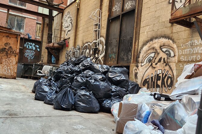 Garbage and Rats in New York City Walking Tour - Wall Street, where finance meets filth