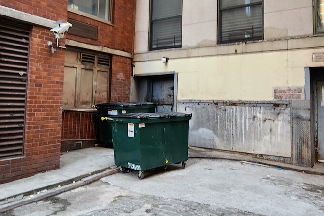 Garbage and Rats in New York City Walking Tour - Suzanne’s style and the small-group advantage