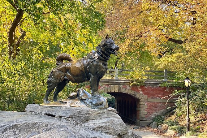 Guided Central Park Bike Tour 2 Hours - Belvedere Castle and Shakespeare Garden