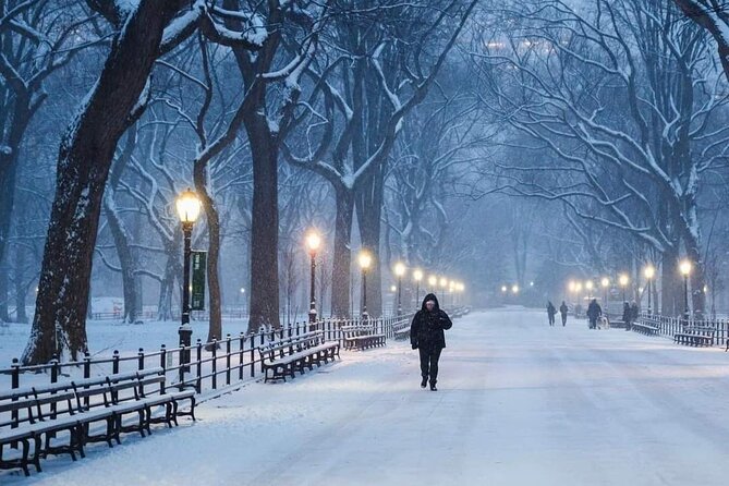 Guided Tour inside Central Park with Pedicab - The Lake and Bow Bridge
