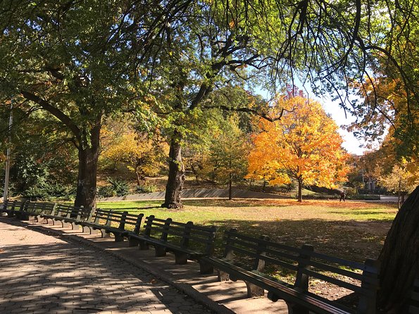 Harlem Gospel and Brunch Guided Tour - Mount Morris Park and the streets of Harlem