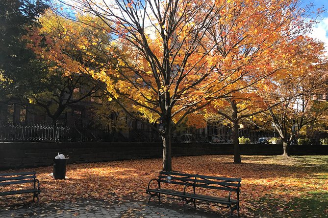 Harlem Walking Tour: Mount Morris Park Historic District w/ Lunch - Why Mount Morris Park makes a fine starting point