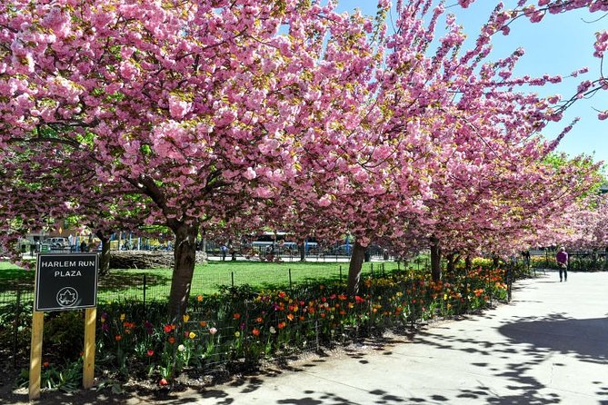 Harlem Walking Tour: Mount Morris Park Historic District w/ Lunch - The Apollo Theater and Harlem’s music story