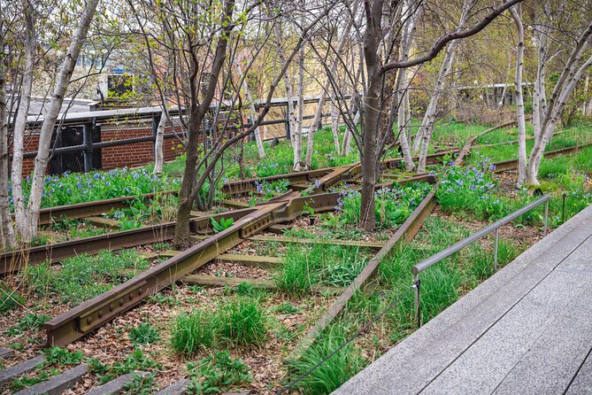 High Line and Chelsea Market 3 Hour Private Tour - What the private format adds