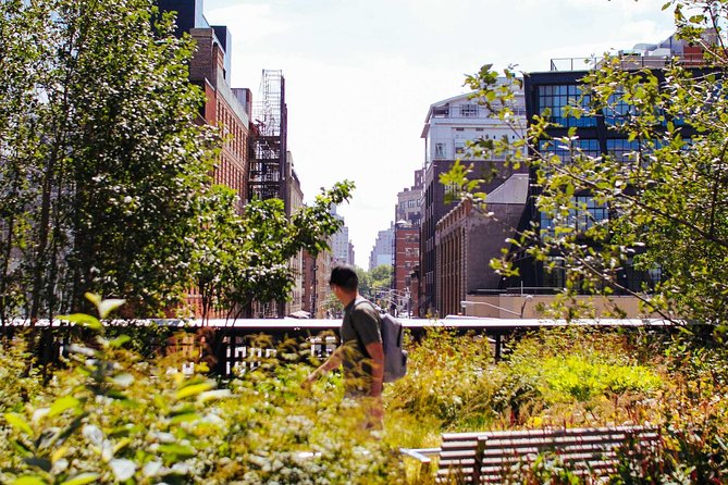 High Line and Chelsea Small Group Tour - Why This Chelsea Morning Works