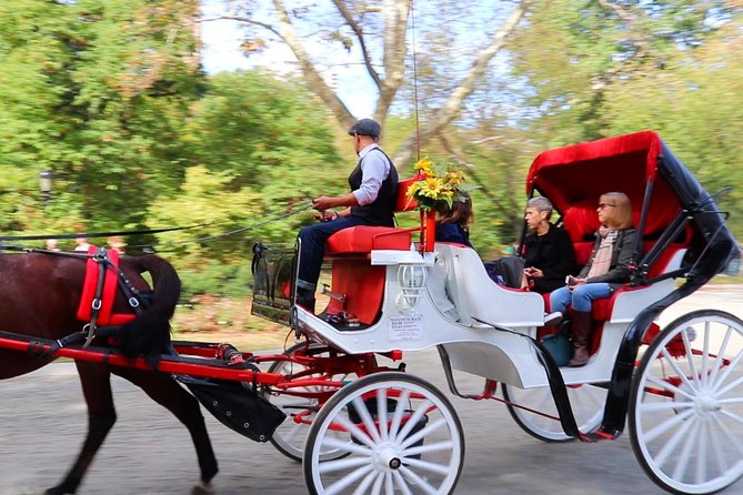 Horse Carriage Ride with Tavern on the Green Pick-Up & Drop-Off - A brief look at the Balto statue