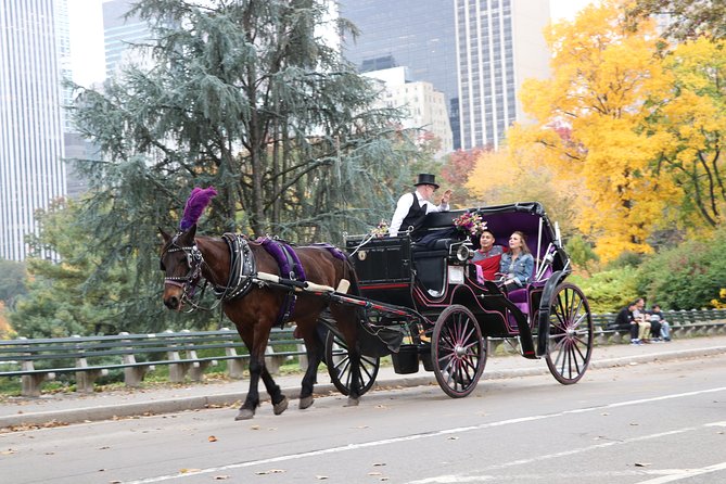 Horse Carriage Ride with Tavern on the Green Pick-Up & Drop-Off - The value of $210 for a private group