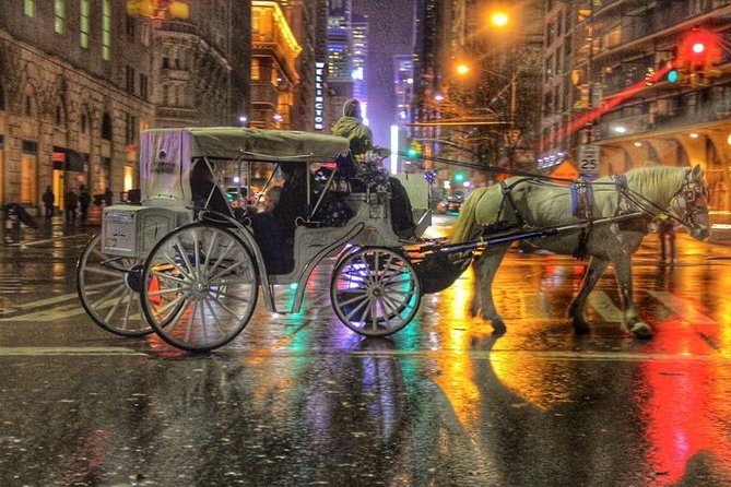 Horse Carriage Tour in New York City's Central Park Small Loop - Why a Private Group Makes a Difference