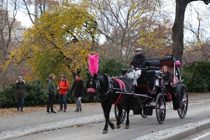 Horse Carriage Tour in New York City's Central Park Small Loop - Timing the Ride Around Your New York Day