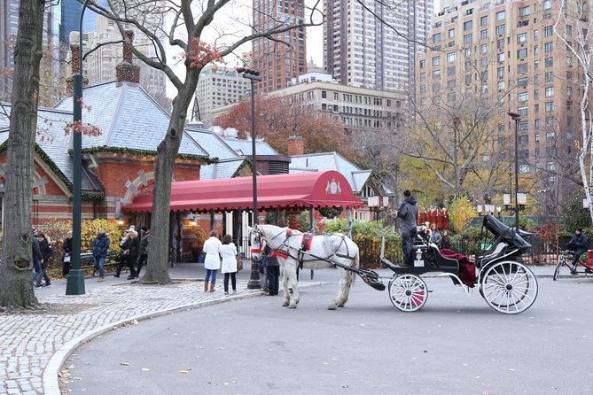 Horse Carriage Tour in New York City's Central Park Small Loop - Blankets, Weather, and Comfort