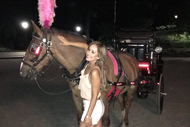 Horse Carriage Tour in New York City's Central Park Small Loop - Value Without a Long Commitment