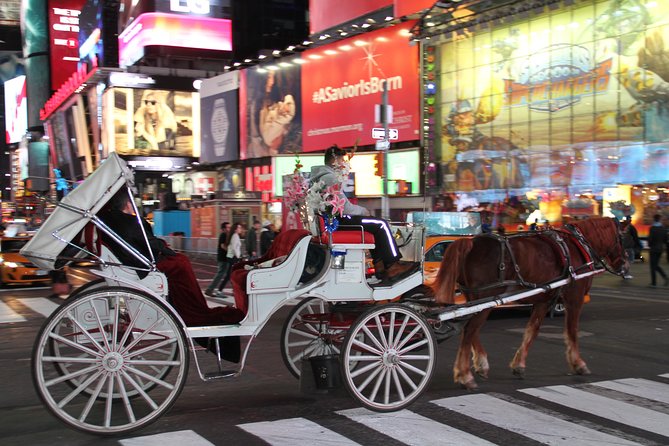 Horse Carriage Tour in New York City's Central Park Small Loop - Who Will Enjoy This Ride Most