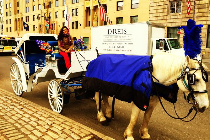 Horse Carriage Tour in New York City's Central Park Small Loop - Wollman Rink, the Zoo, and the Plaza Hotel