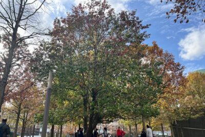 Lower Manhattan: From Financial Power to Enduring Hope