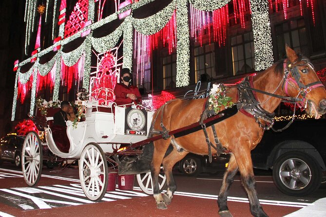 Magical Evening Horse-Drawn Carriage through NYC (65 min) - Sixth Avenue and the city moving around you